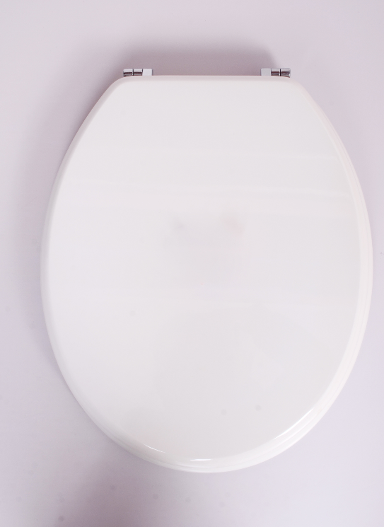 Why the Soft Close Toilet Seat Is Gaining Popularity in the German Market